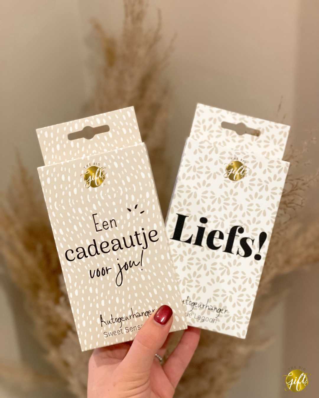 The Big Gifts - Autogeurhanger 'Cadeautje'