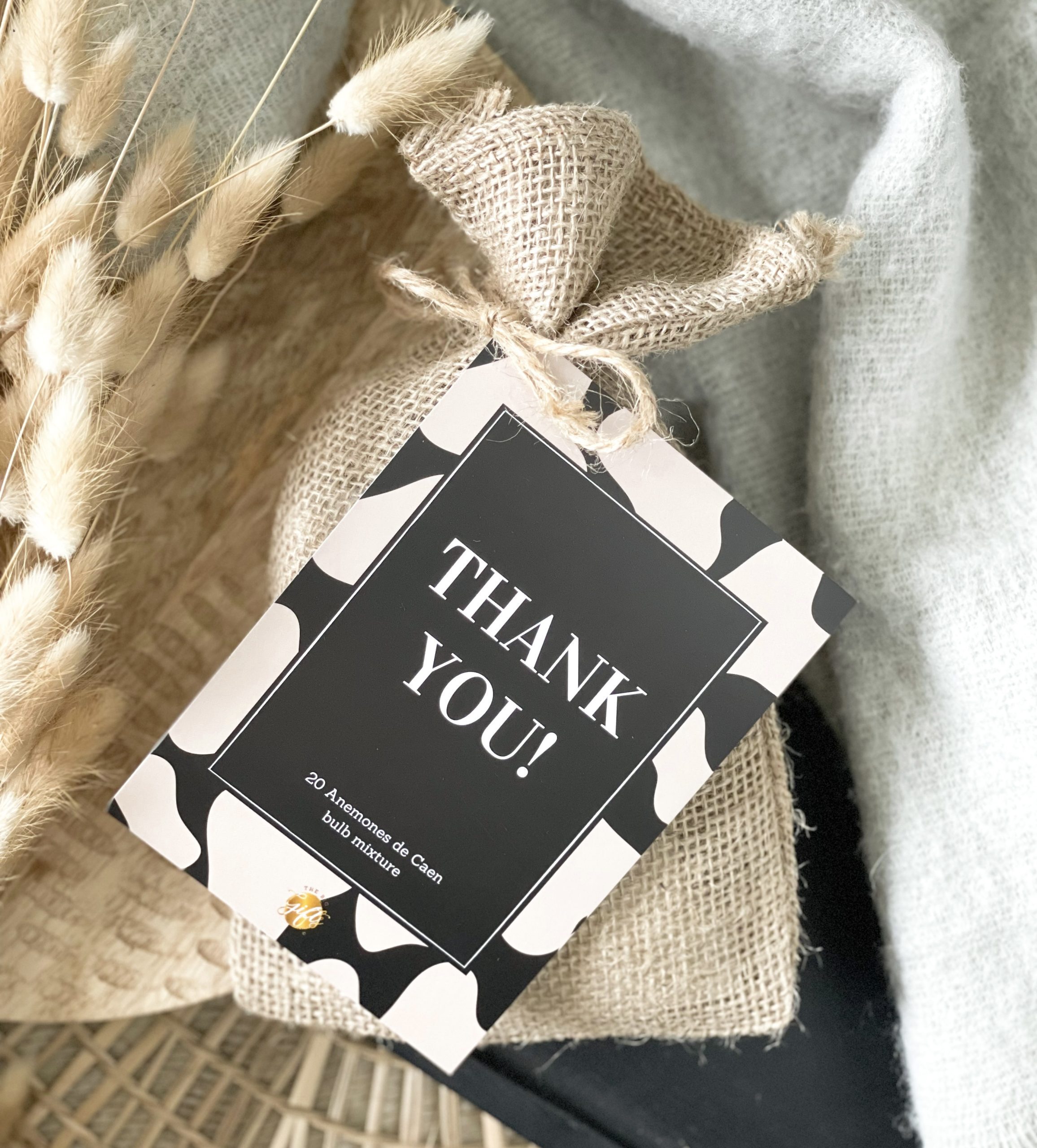 The Big Gifts - Bloembollen, 'Thank You'