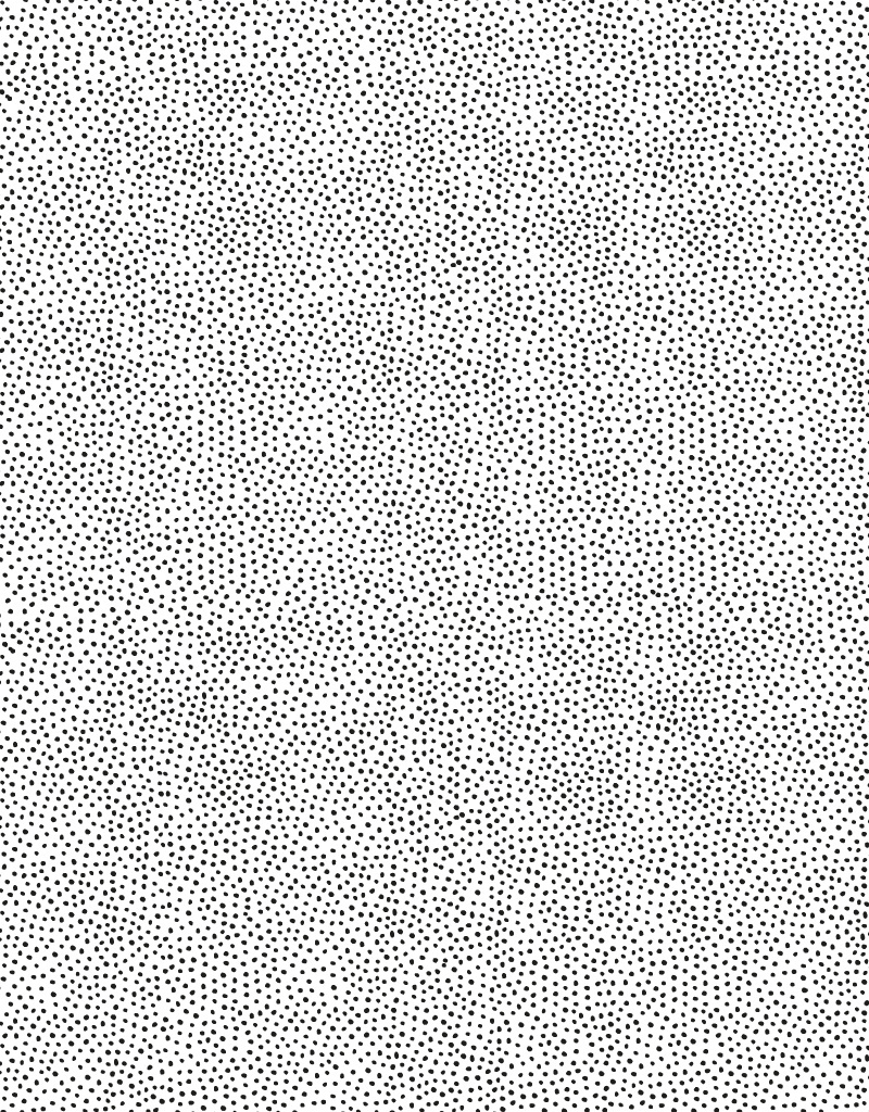 Rol cadeaupapier wit met zwarte dots – Zoedt